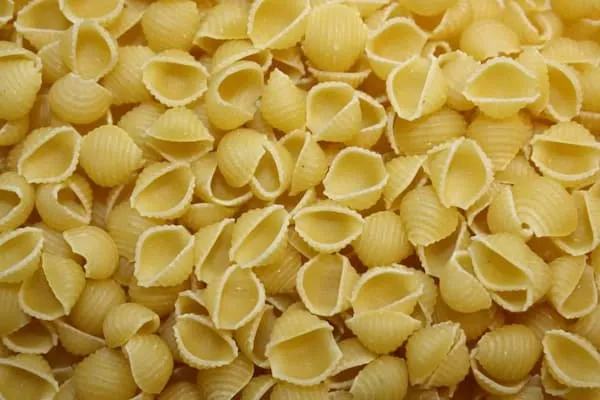 قیمت خرید  ماکارانی صدفی + مزایا و معایب