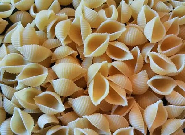 قیمت خرید  ماکارانی صدفی + مزایا و معایب